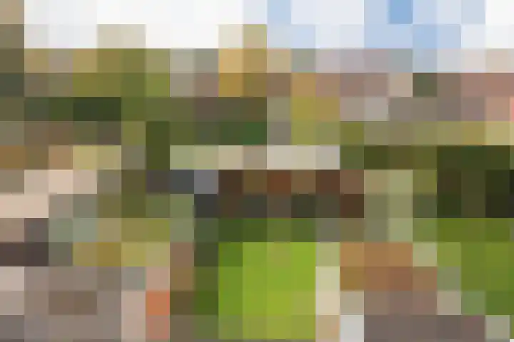 Da Costastraat 86 Putten thumbnail 34