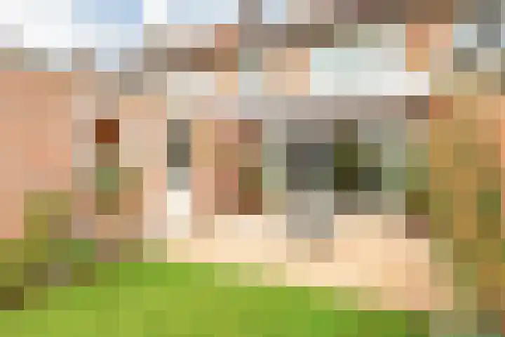 Da Costastraat 86 Putten thumbnail 35