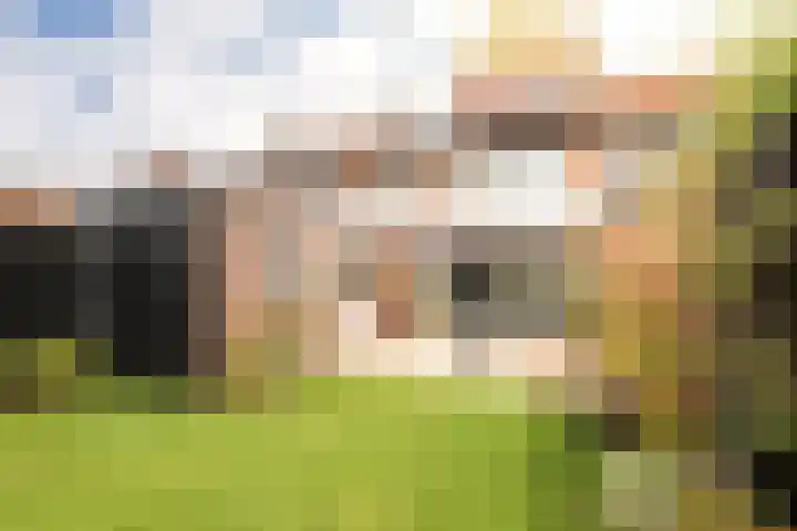 Da Costastraat 86 Putten thumbnail 36