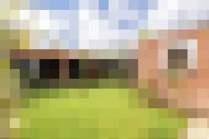 Da Costastraat 86 Putten thumbnail 38