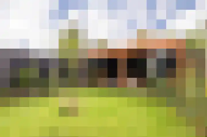 Da Costastraat 86 Putten thumbnail 39