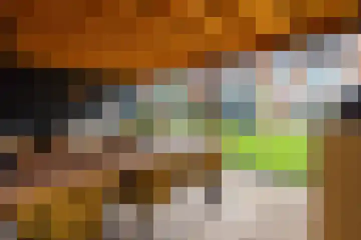 Da Costastraat 86 Putten thumbnail 42