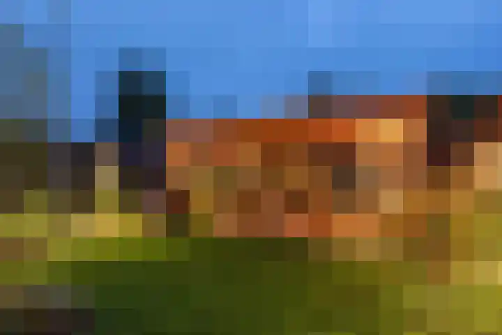 Da Costastraat 86 Putten thumbnail 46