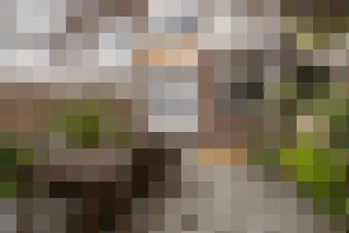Da Costastraat 9 A Schiedam thumbnail 17