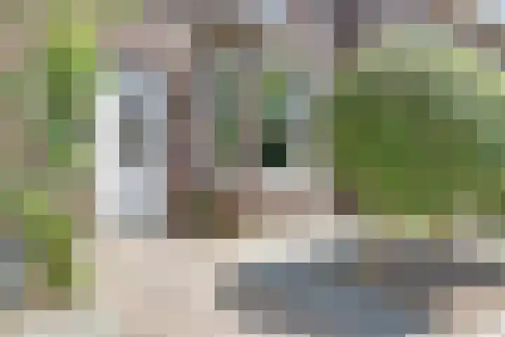 Da Costastraat 9 Zwijndrecht thumbnail 23