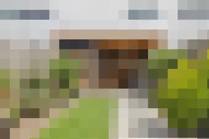 Da Costastraat 9 Zwijndrecht thumbnail 26
