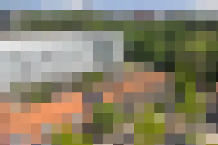 Da Costastraat 9 Zwijndrecht thumbnail 30
