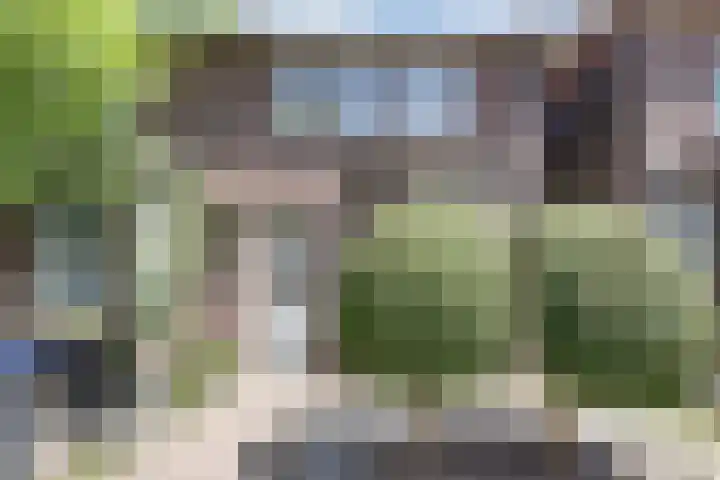Da Costastraat 9 Zwijndrecht thumbnail 6