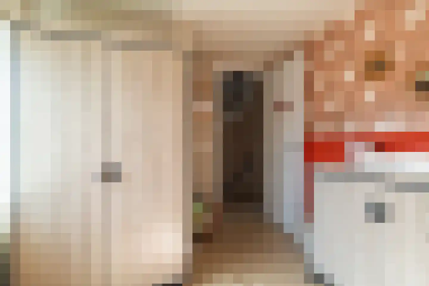 Da Costastraat 96 Hoogeveen thumbnail 30
