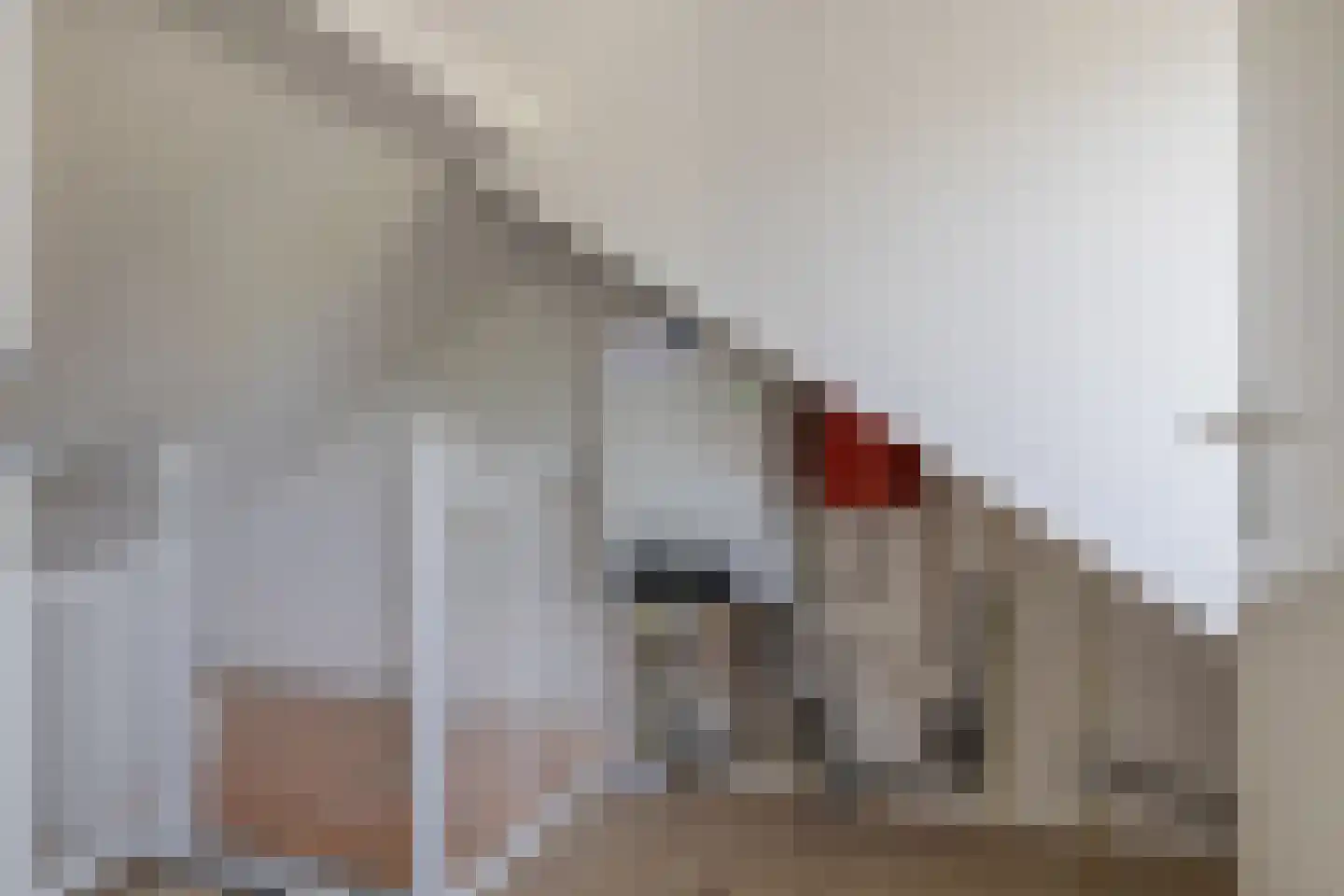Da Costastraat 96 Hoogeveen thumbnail 37