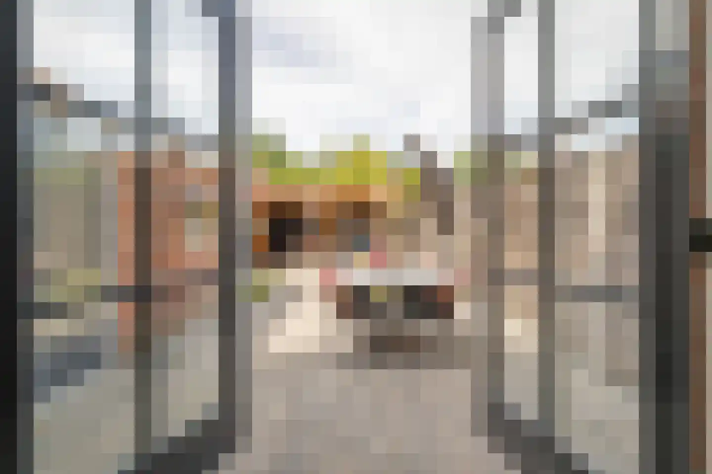 Da Costastraat 96 Hoogeveen thumbnail 41