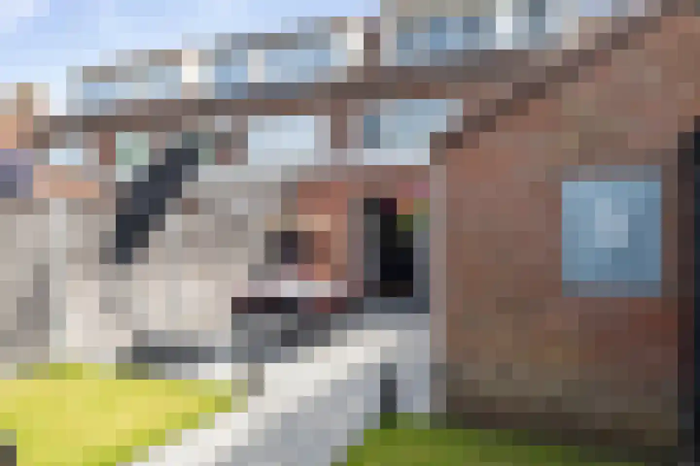 Da Costastraat 96 Hoogeveen thumbnail 45