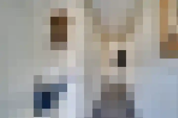 Da Palestrinastraat 11 Purmerend thumbnail 14