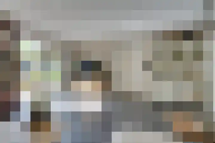 Da Palestrinastraat 11 Purmerend thumbnail 21