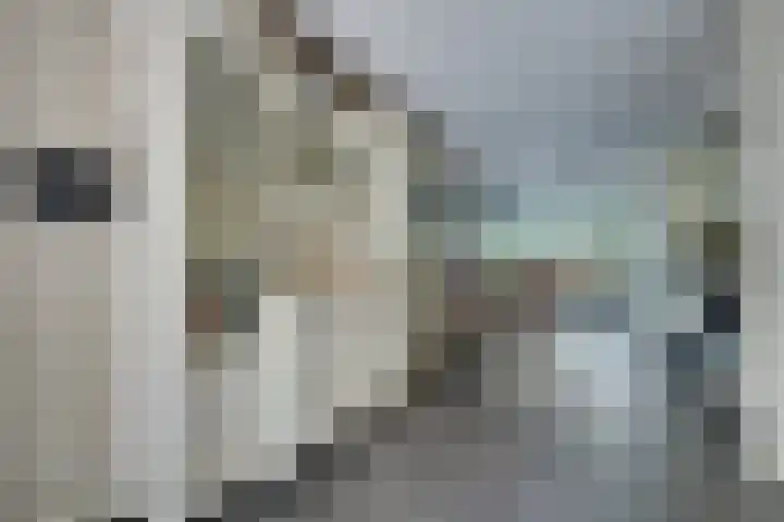 Da Palestrinastraat 11 Purmerend thumbnail 23