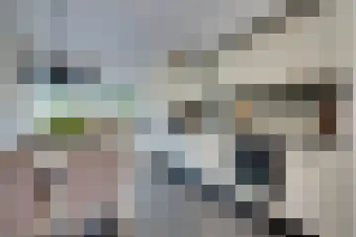 Da Palestrinastraat 11 Purmerend thumbnail 26