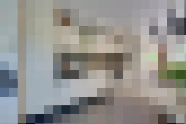 Da Palestrinastraat 11 Purmerend thumbnail 28
