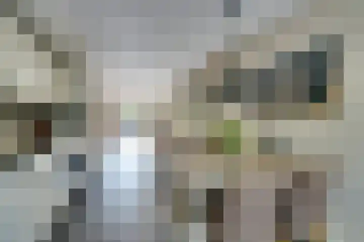 Da Palestrinastraat 11 Purmerend thumbnail 29