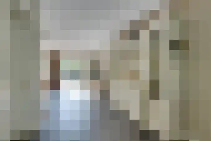 Da Palestrinastraat 11 Purmerend thumbnail 30