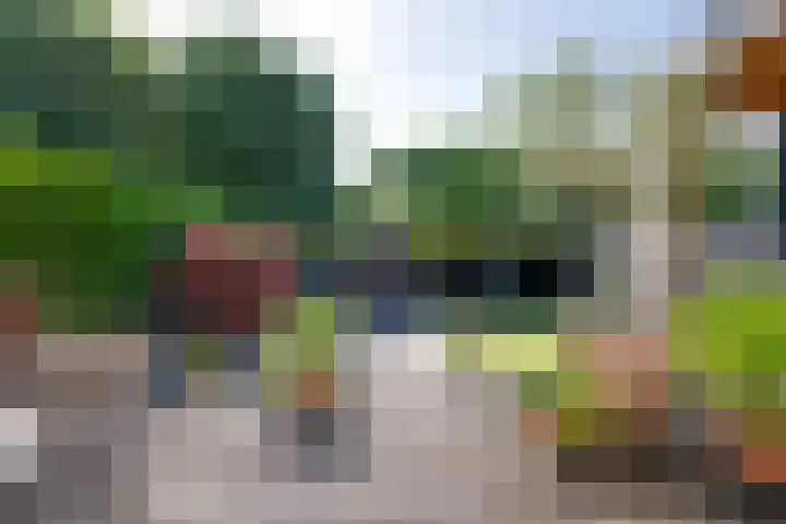 Da Palestrinastraat 11 Purmerend thumbnail 31