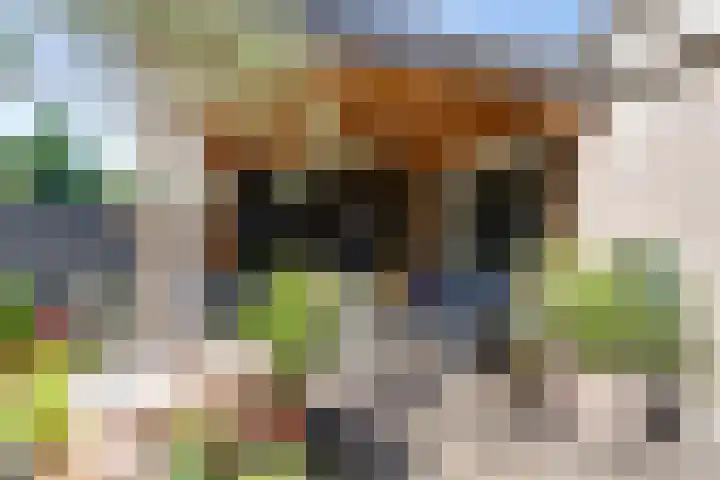 Da Palestrinastraat 11 Purmerend thumbnail 33