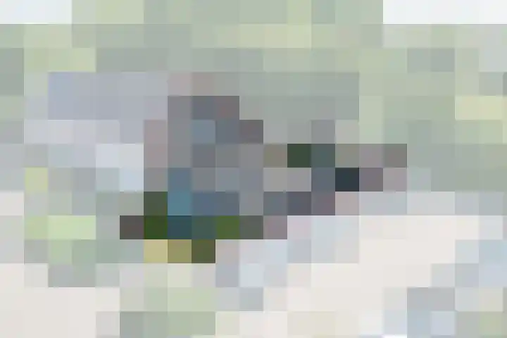 Da Palestrinastraat 11 Purmerend thumbnail 4