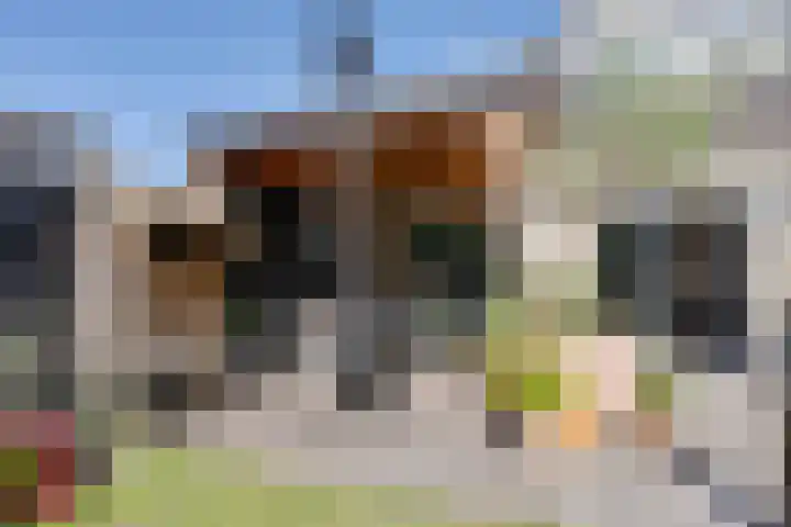 Da Palestrinastraat 11 Purmerend thumbnail 42