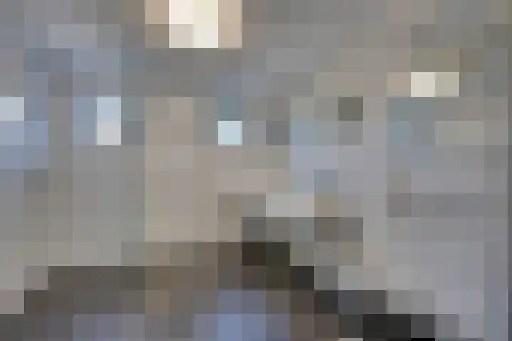 Da Palestrinastraat 11 Purmerend thumbnail 46