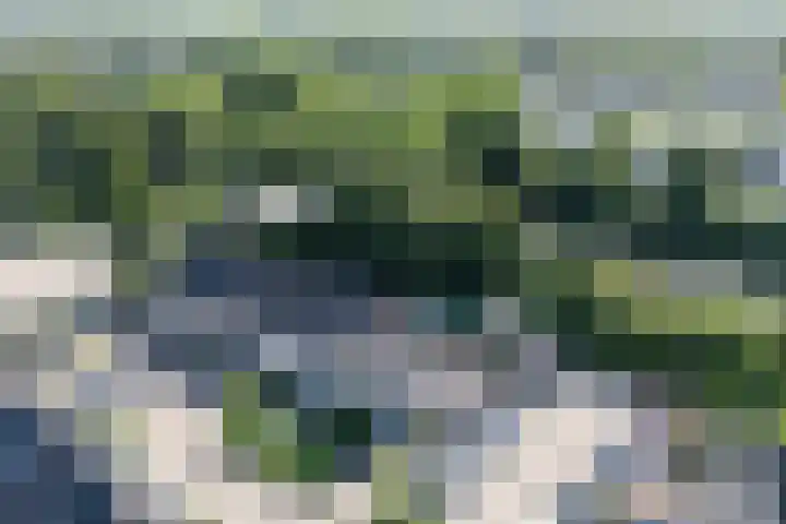 Da Palestrinastraat 11 Purmerend thumbnail 5