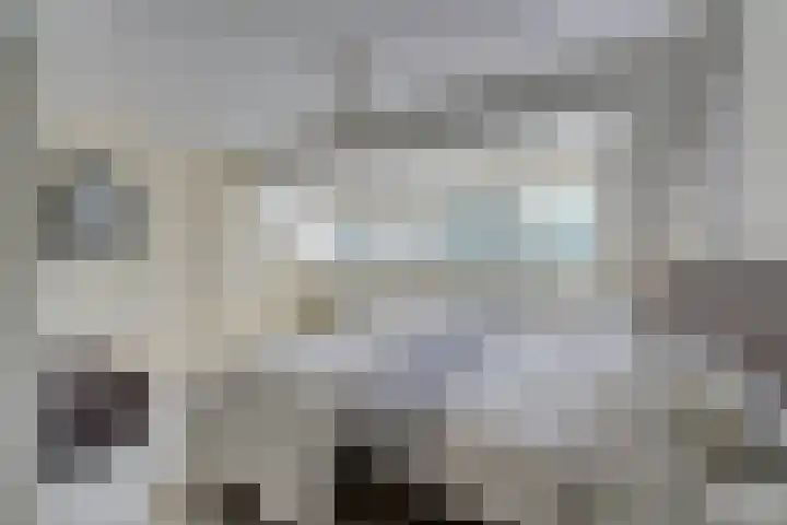 Da Palestrinastraat 11 Purmerend thumbnail 50