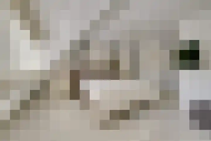 Da Palestrinastraat 11 Purmerend thumbnail 51