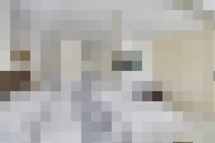 Da Palestrinastraat 11 Purmerend thumbnail 52