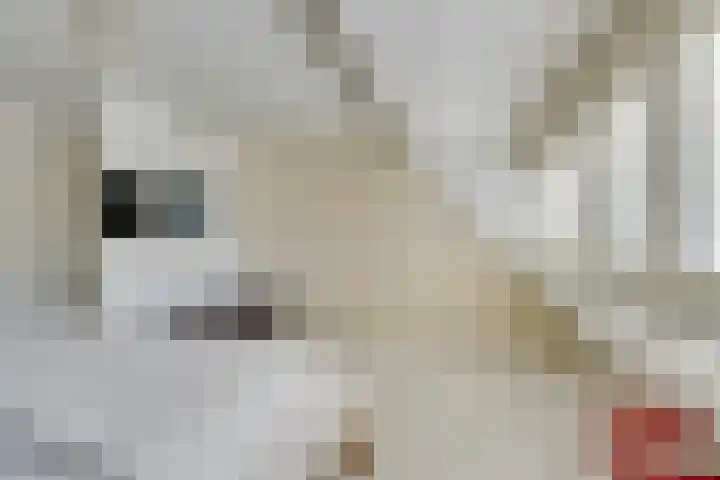 Da Palestrinastraat 11 Purmerend thumbnail 53