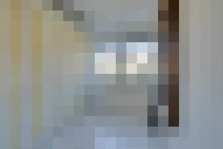 Da Palestrinastraat 11 Purmerend thumbnail 54