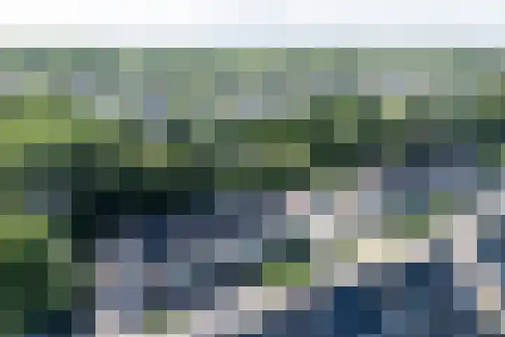 Da Palestrinastraat 11 Purmerend thumbnail 6