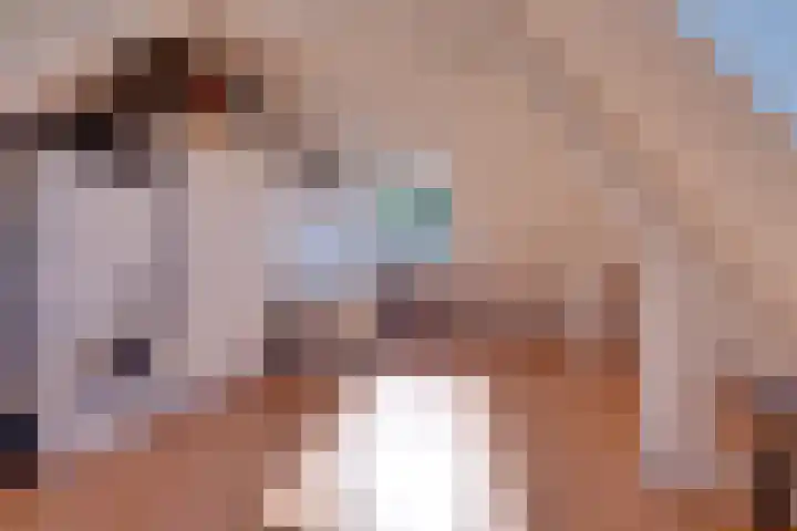 Da Palestrinastraat 11 Purmerend thumbnail 64