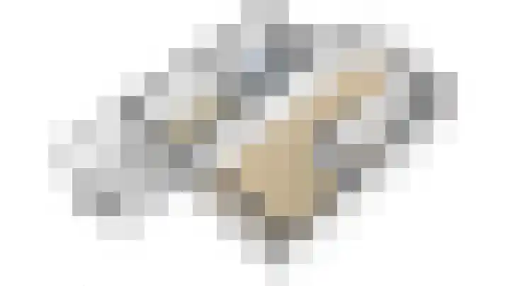Da Palestrinastraat 11 Purmerend thumbnail 66