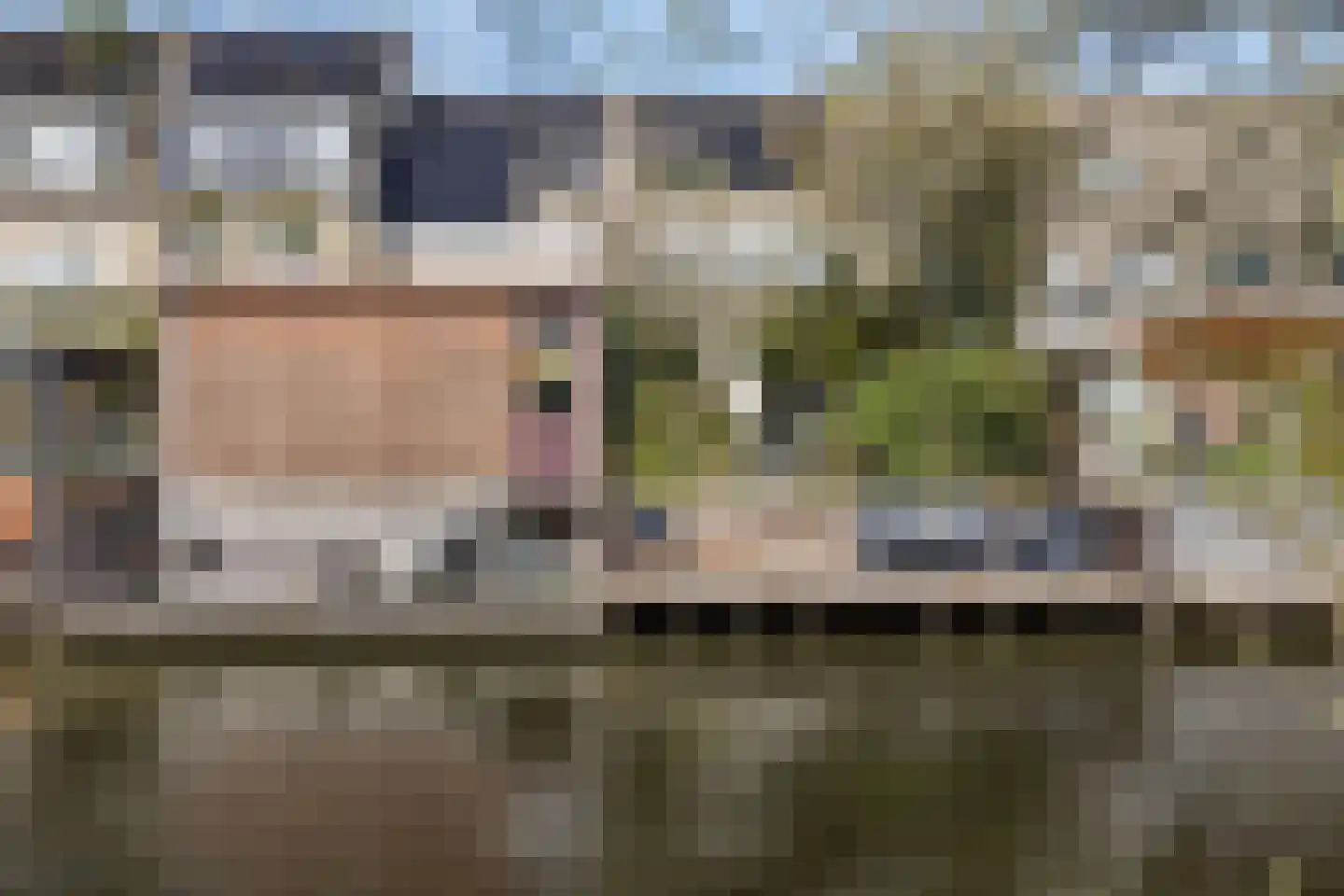Da Palestrinastraat 49 Purmerend foto 3