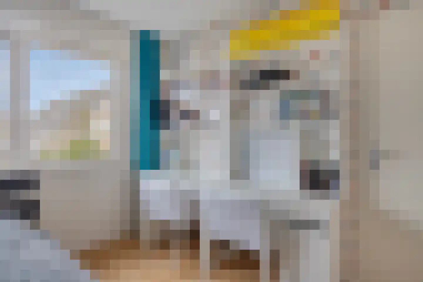 Da Palestrinastraat 49 Purmerend thumbnail 34