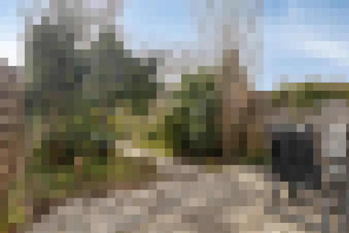 Da Palestrinastraat 49 Purmerend thumbnail 41