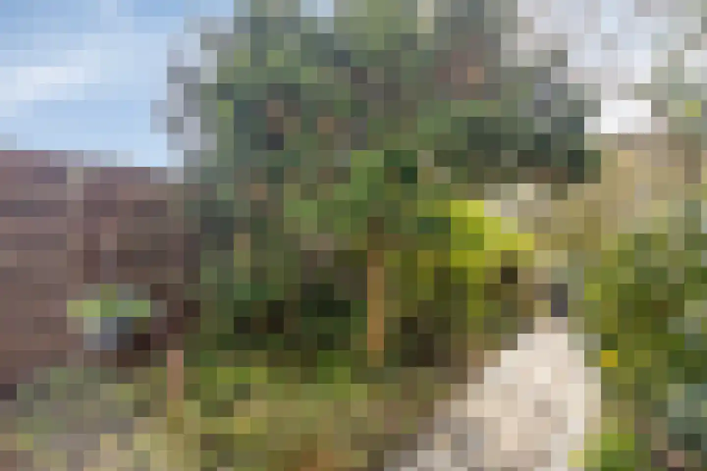 Da Palestrinastraat 49 Purmerend thumbnail 44