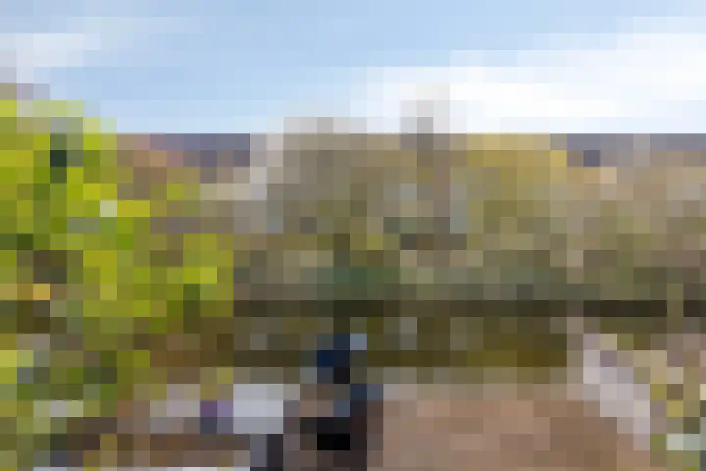 Da Palestrinastraat 49 Purmerend thumbnail 45