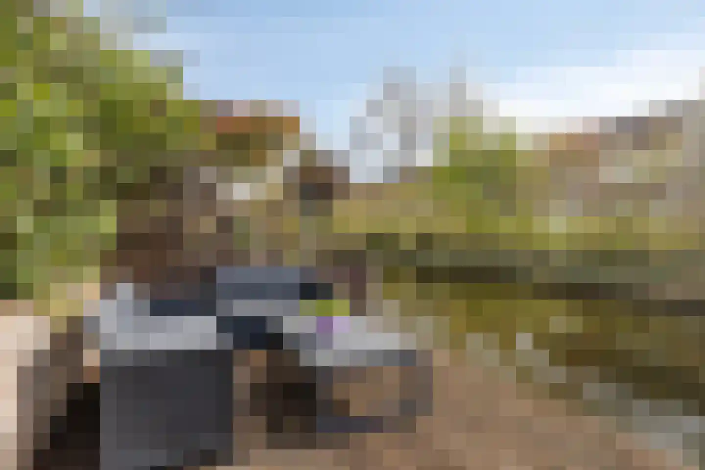 Da Palestrinastraat 49 Purmerend thumbnail 46