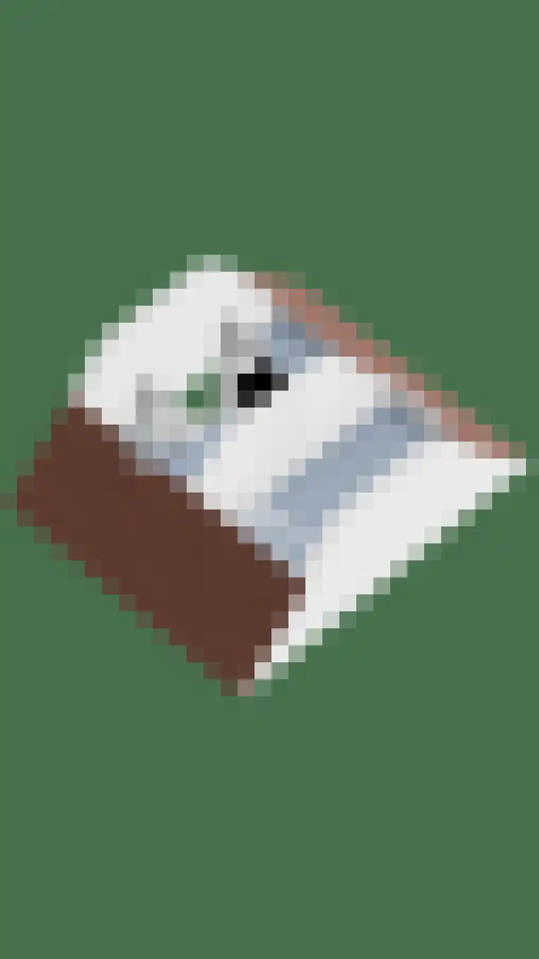 Da Palestrinastraat 49 Purmerend thumbnail 56