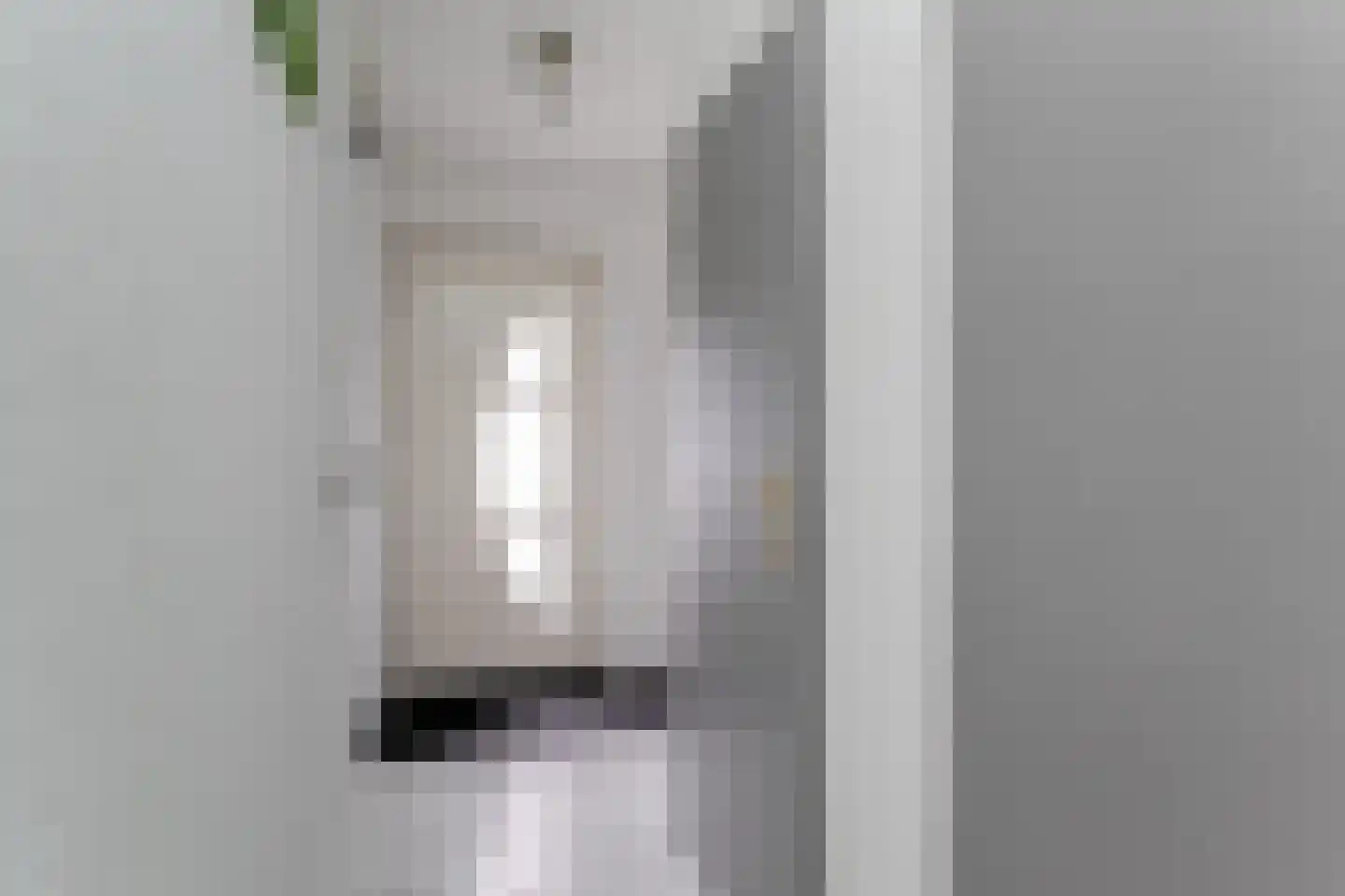 Da Palestrinastraat 57 Purmerend thumbnail 11