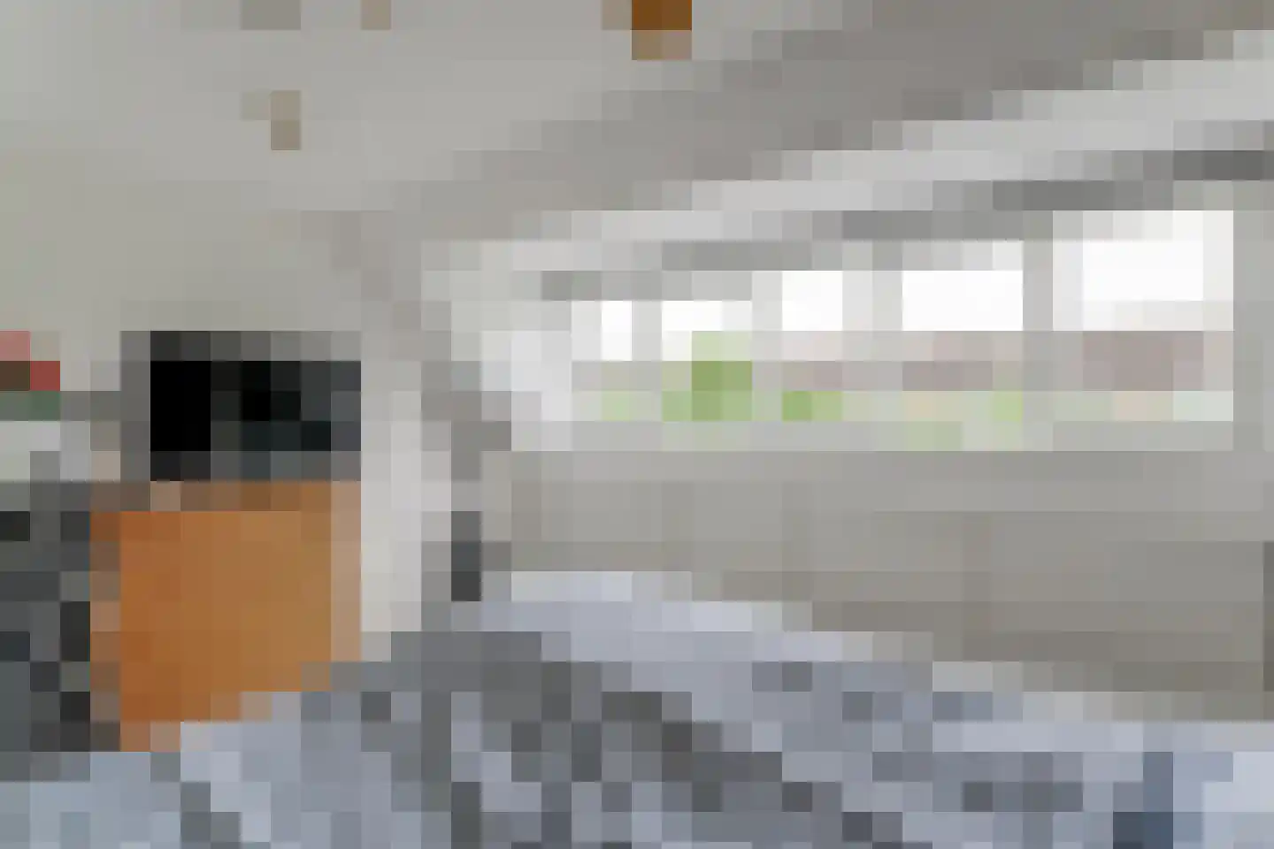 Da Palestrinastraat 57 Purmerend thumbnail 23