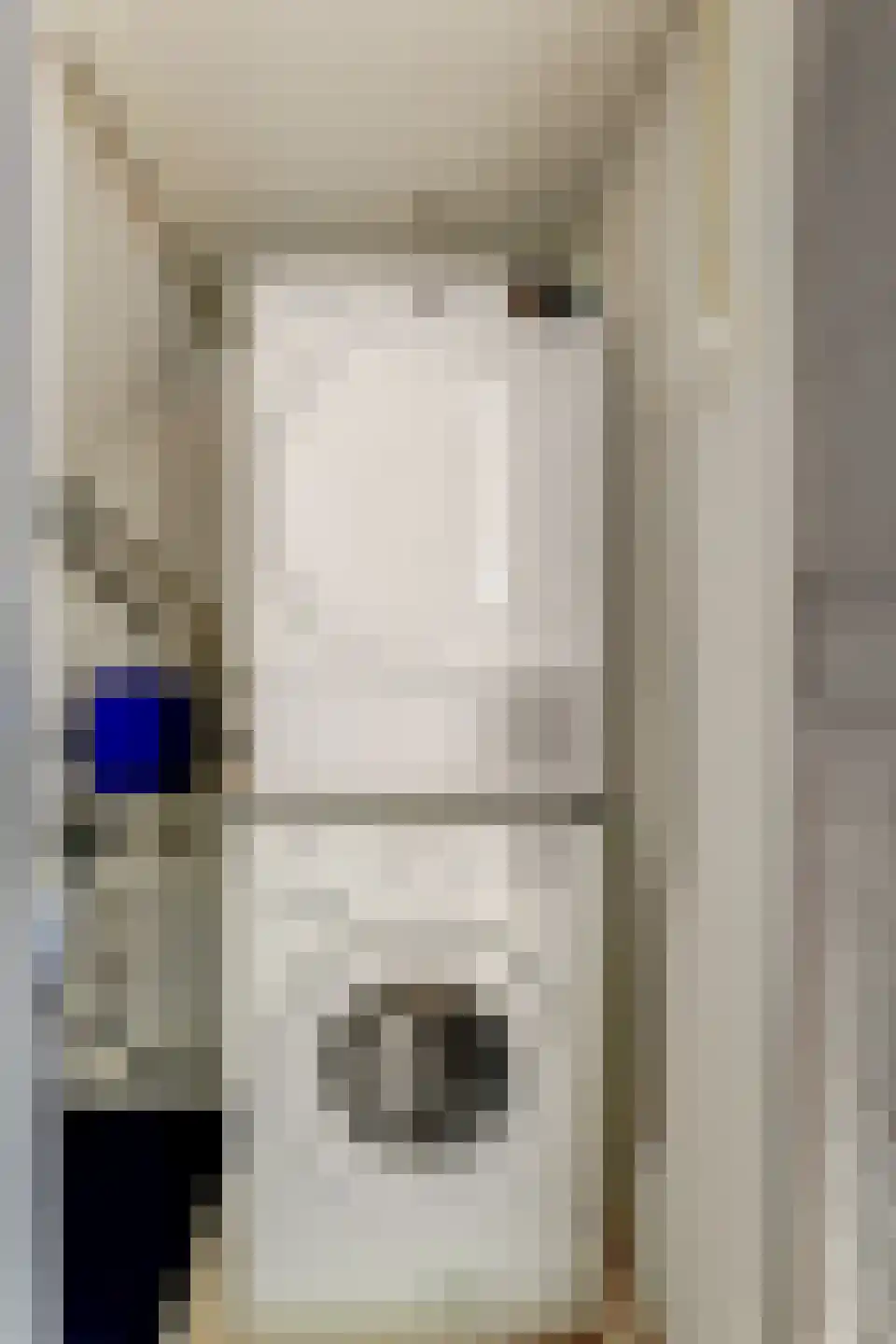 Da Palestrinastraat 57 Purmerend thumbnail 34