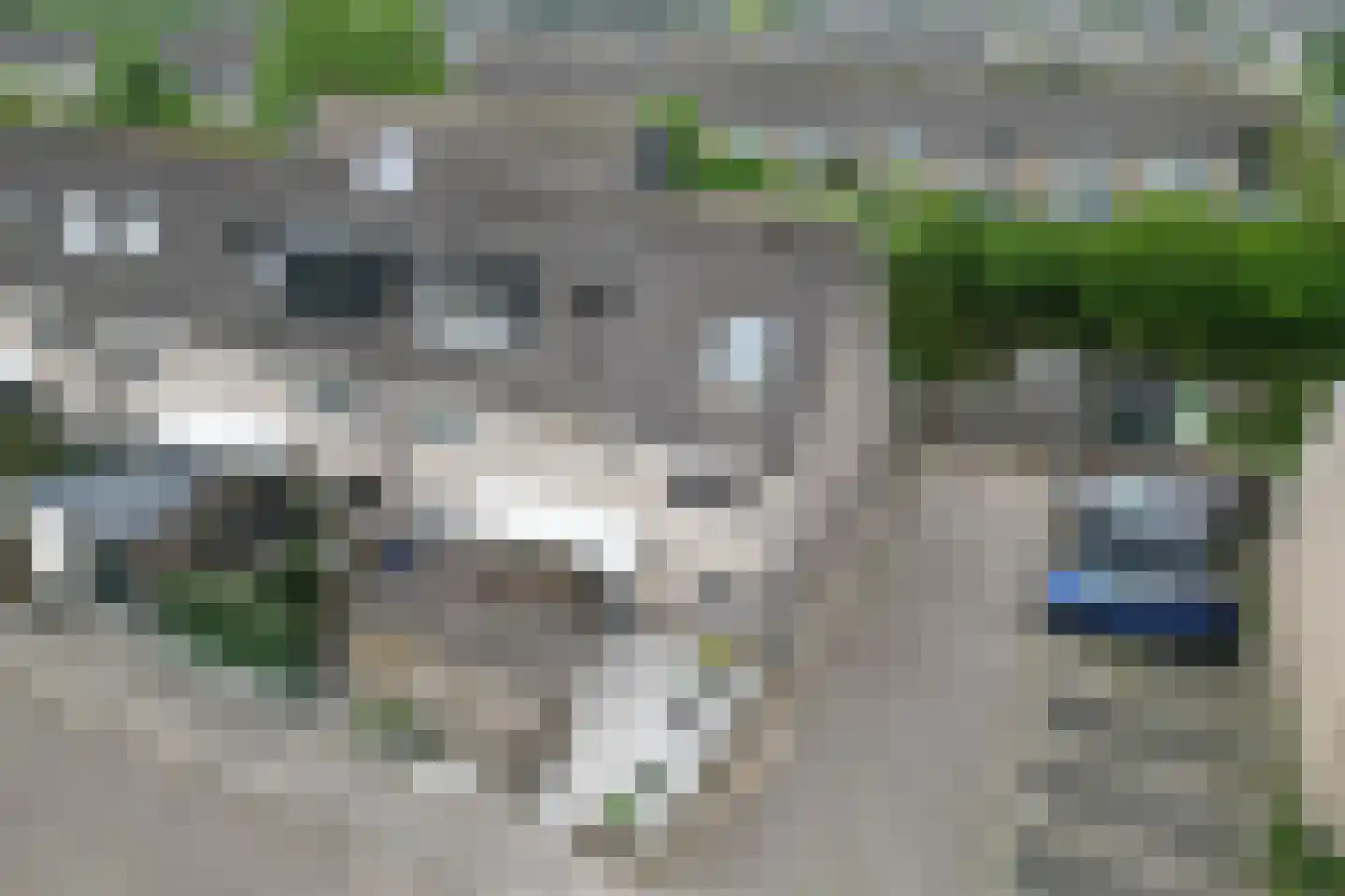 Da Palestrinastraat 57 Purmerend thumbnail 38