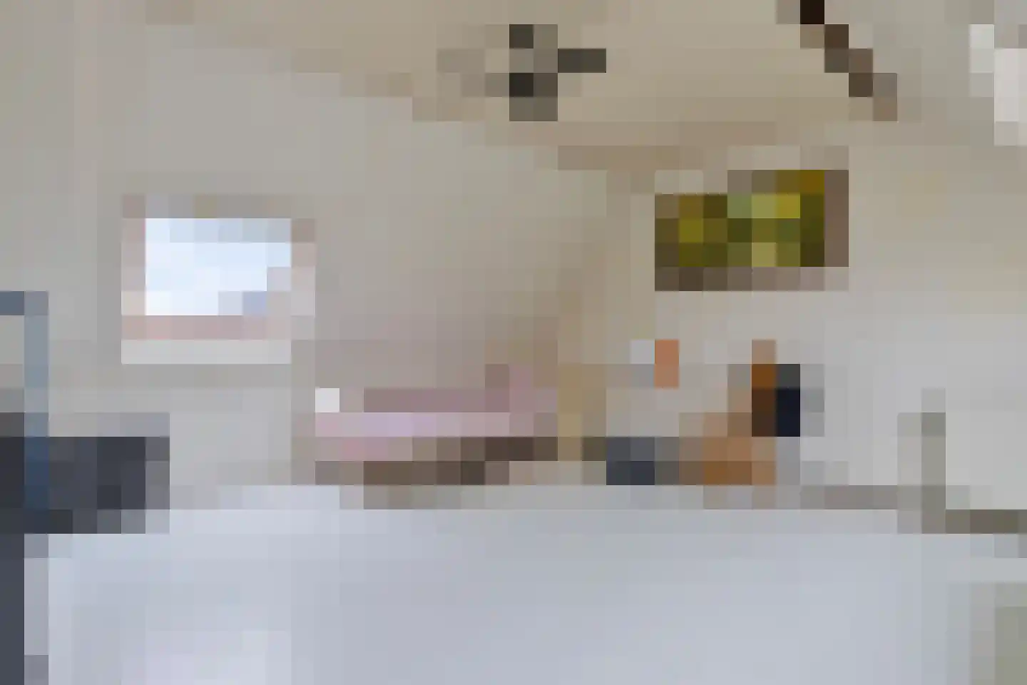 Da Palestrinastraat 87 Purmerend thumbnail 23