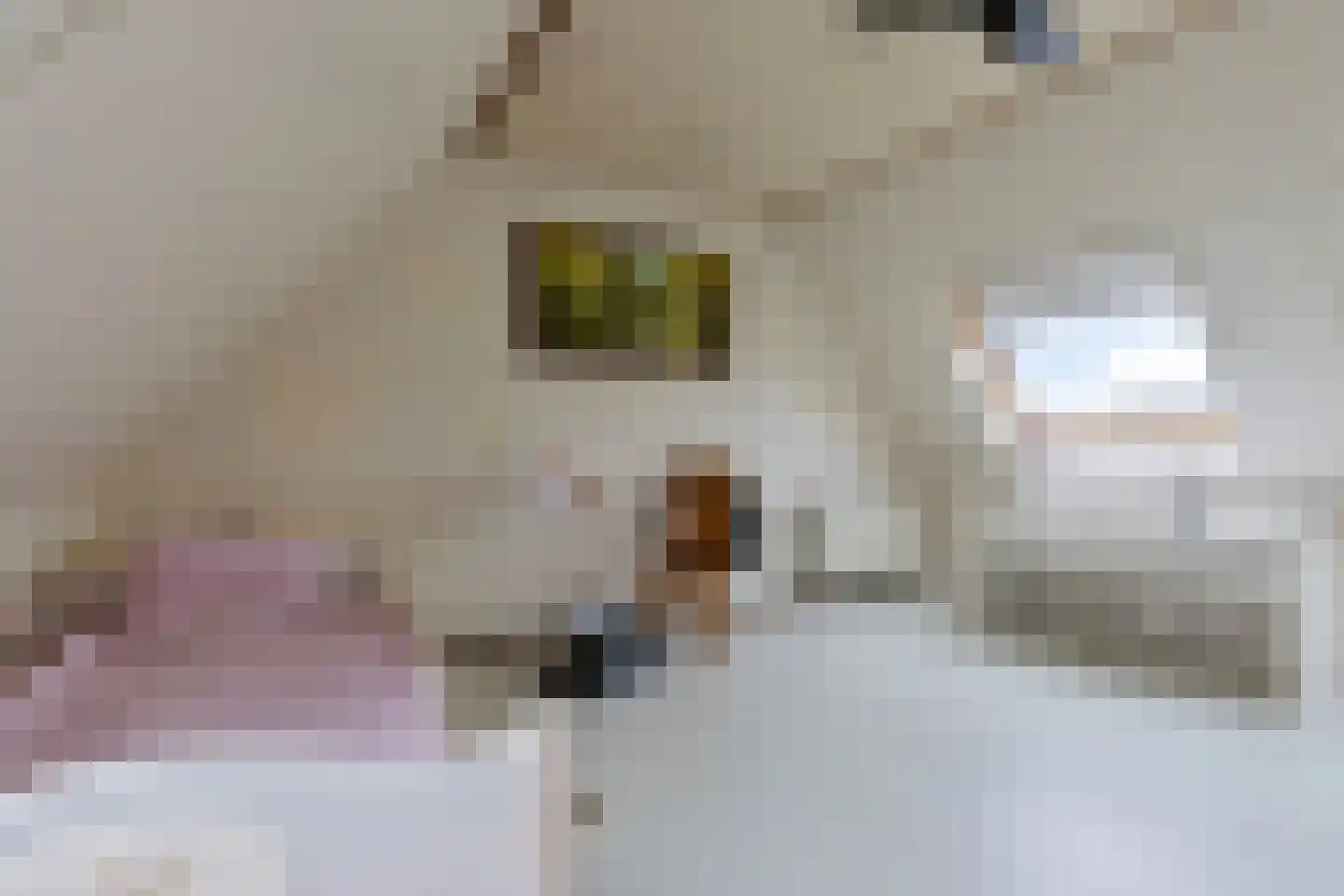 Da Palestrinastraat 87 Purmerend thumbnail 24